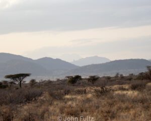 A view of the mountains from across the plains.