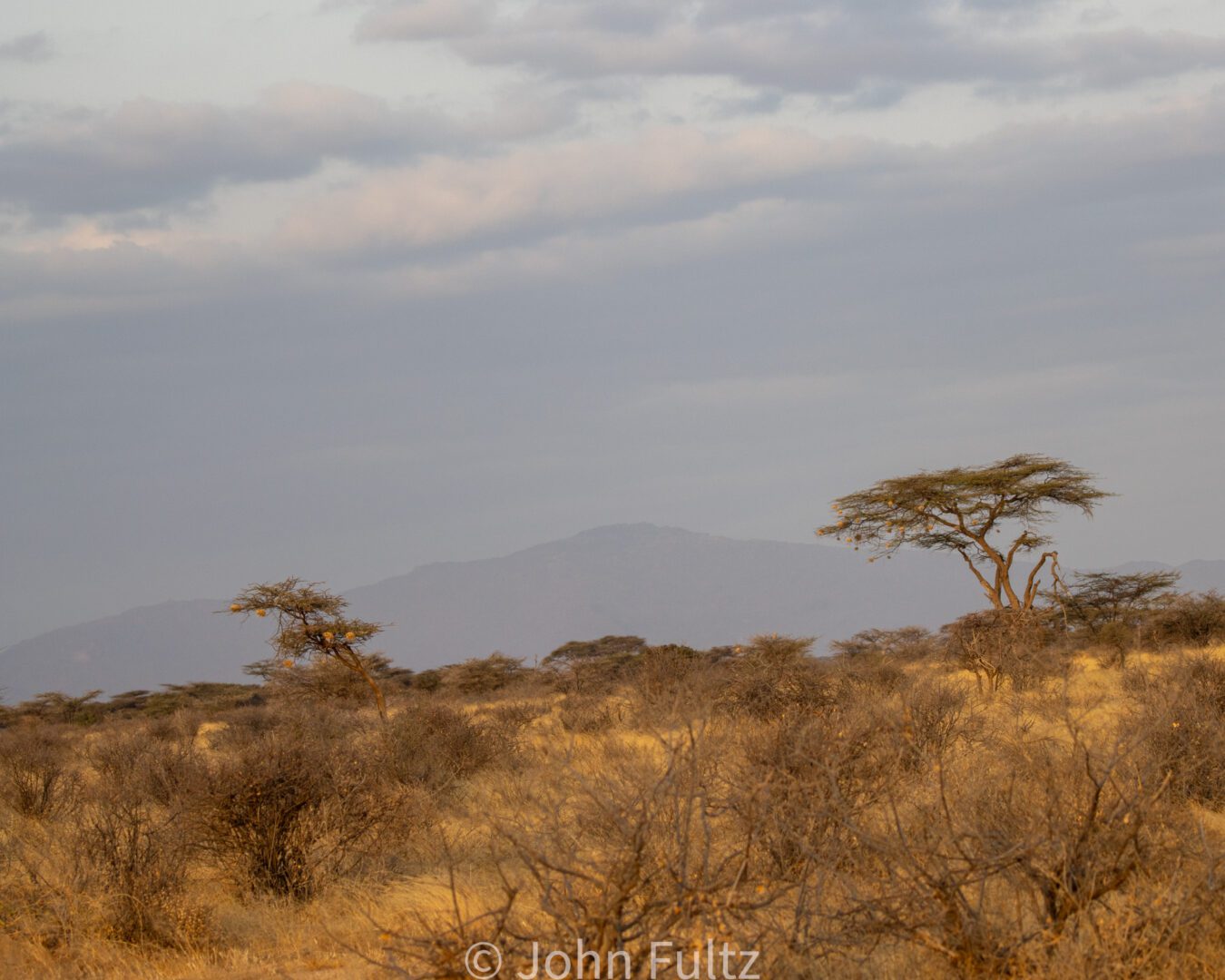 Savanna – Kenya, Africa