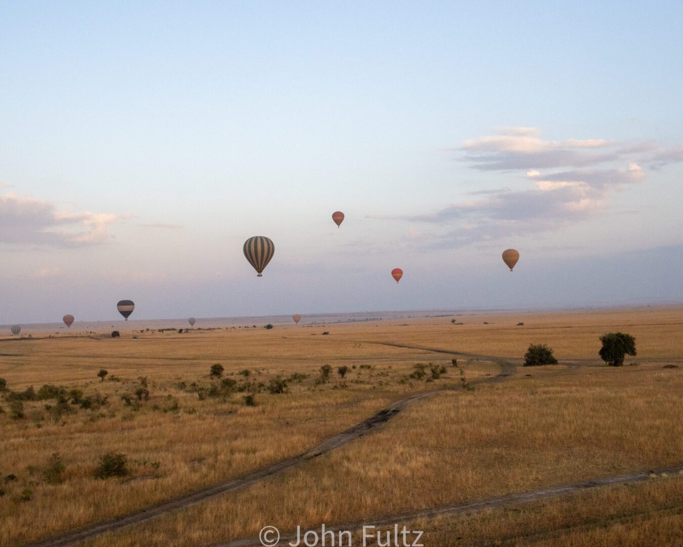 A field with several balloons flying in the sky.